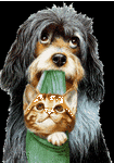 pic for Dog & Cat  